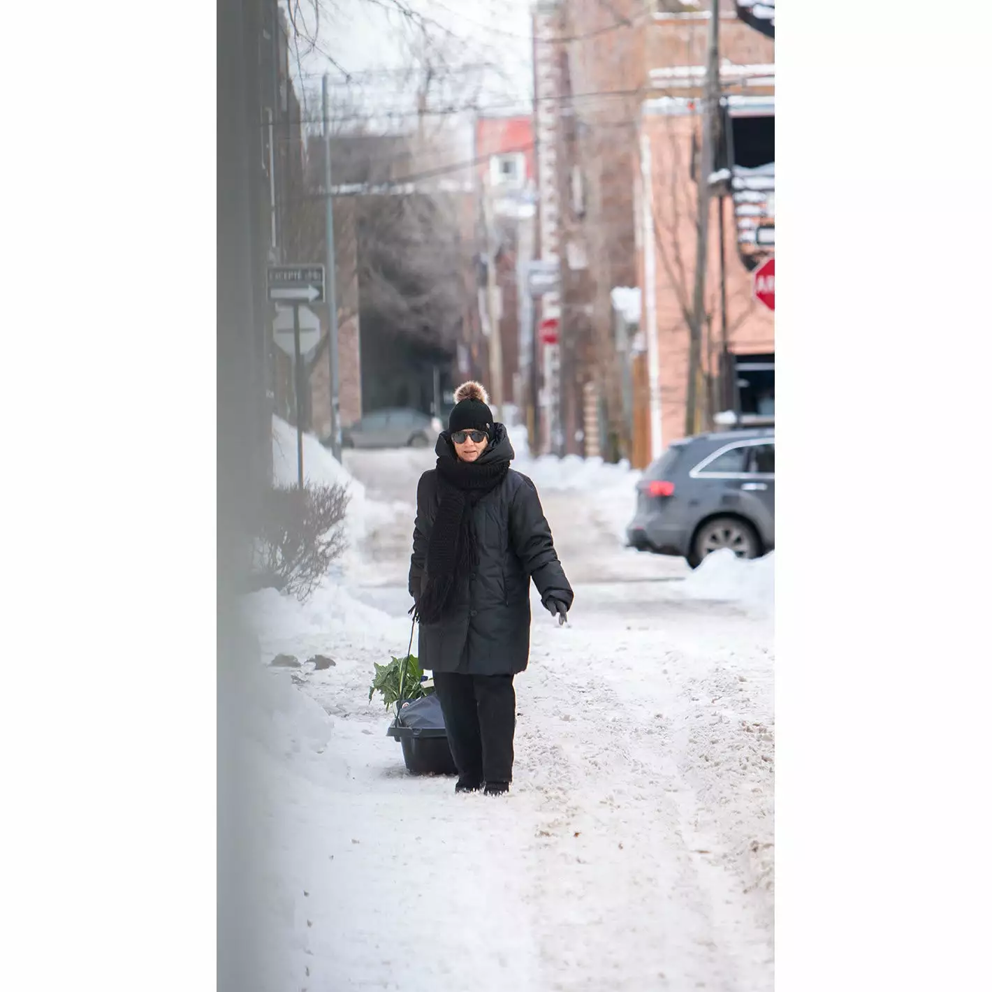 Pelican Sport Trek 45 Sled - Image 4